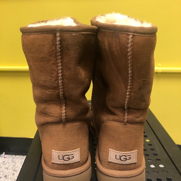Chestnut Colored Uggs - Picture 5 of 6